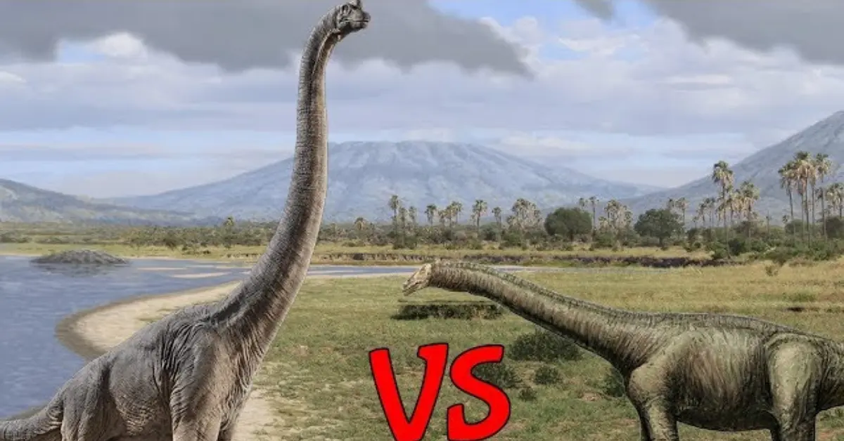 Difference Between Brontosaurus and Brachiosaurus