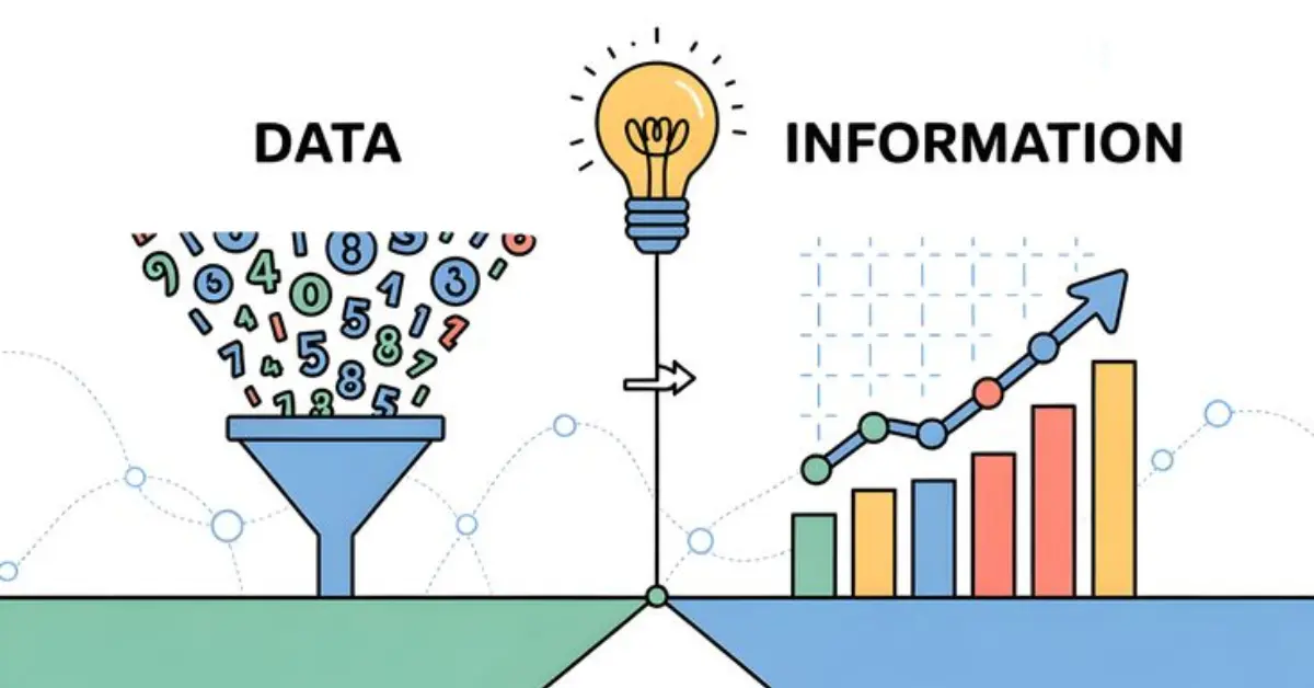 The Difference Between Data and Information